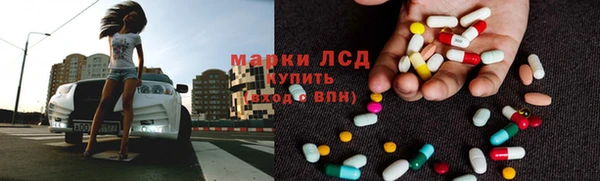 СК Алексин