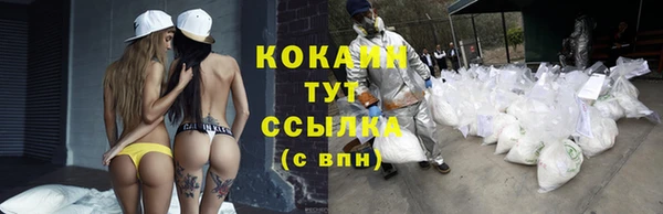 ешки Абинск